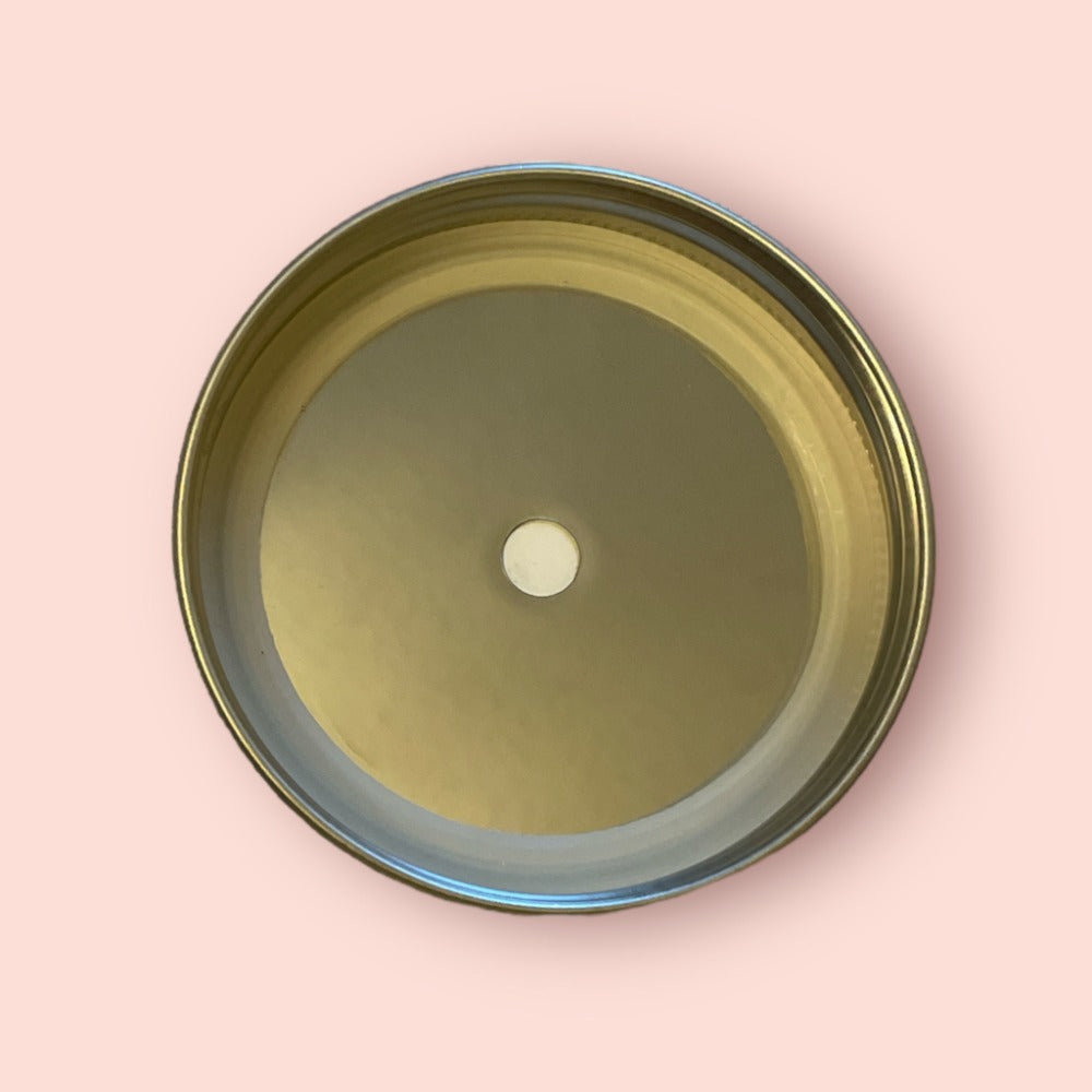 Stainless Steel Grain Spawn Lids - 6 Pack