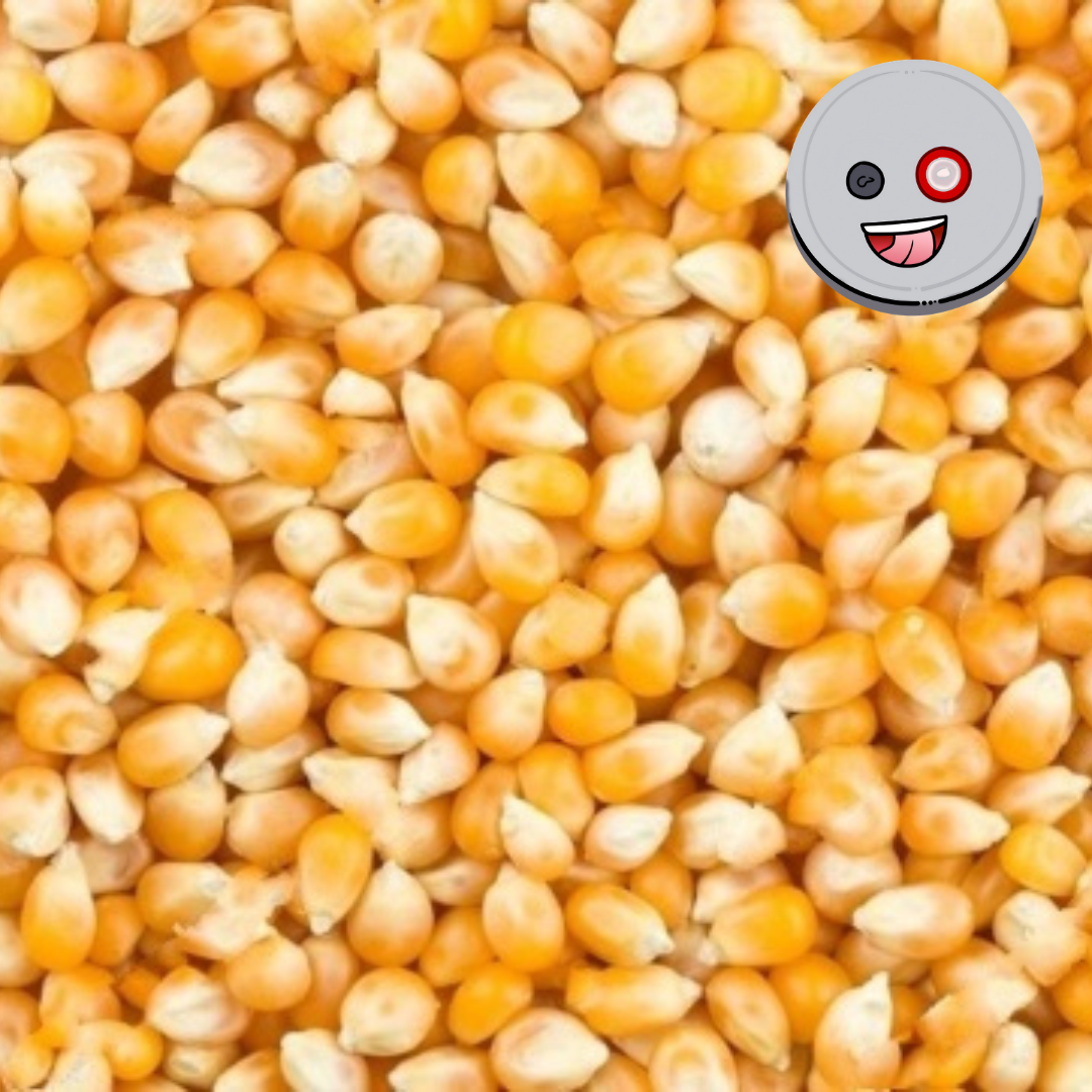 Corn Spawn
